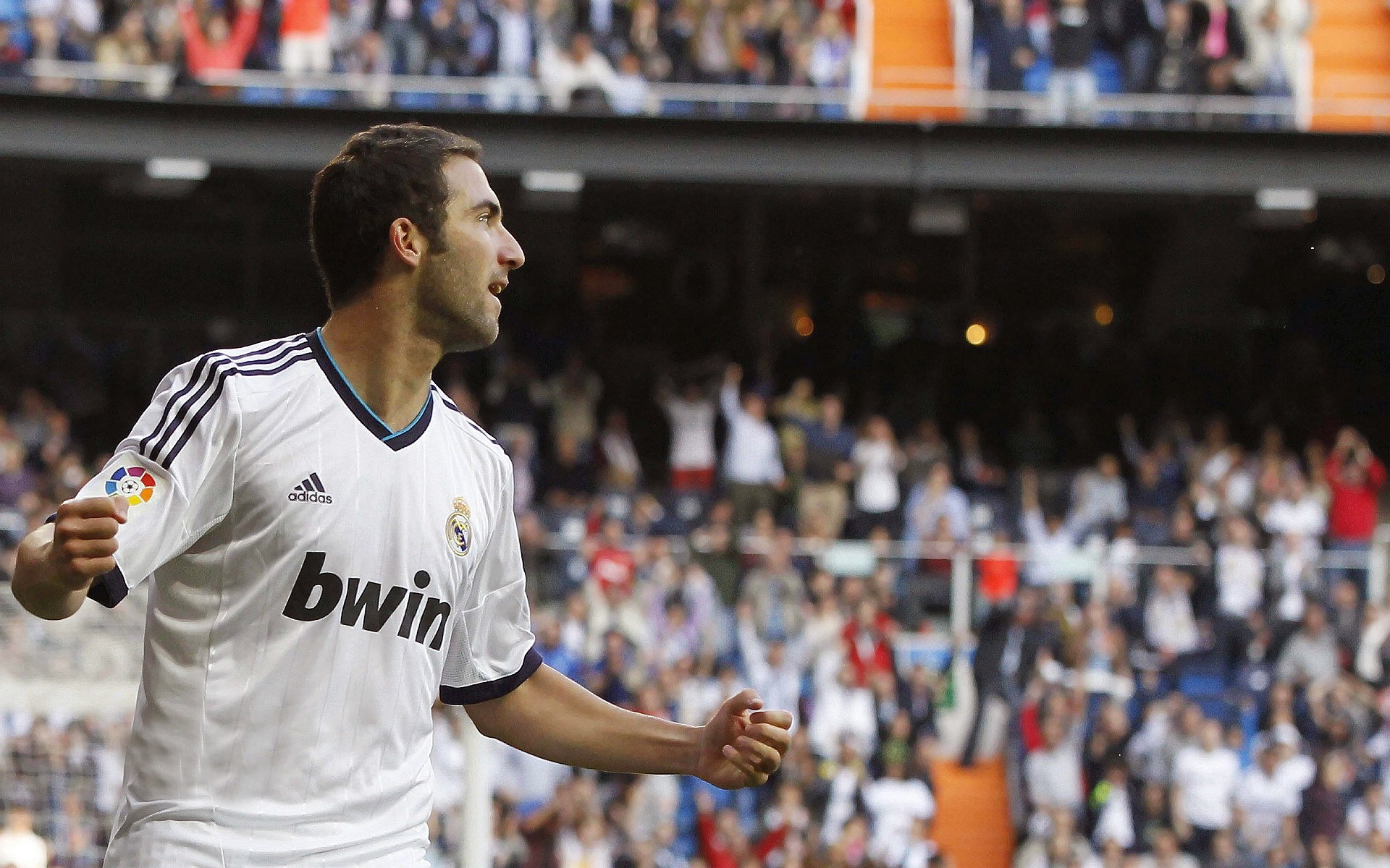 冬奥足球项目引热议,墨西哥球迷打出“冰上斗士”横幅